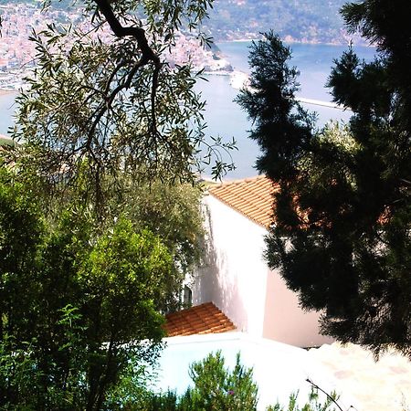 Villa Kalypso And Villa Kirki 스코펠로스 타운 외부 사진